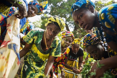 In the Katfoura village on the Tristao Islands in Guinea, the civil society organization Partenariat Recherches Environnement Medias (PREM) is providing rural women with new opportunities to generate income and improve community life.